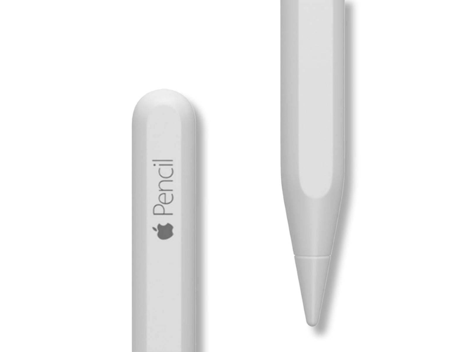 Image shows close up view of tip and end of apple pencil on white background