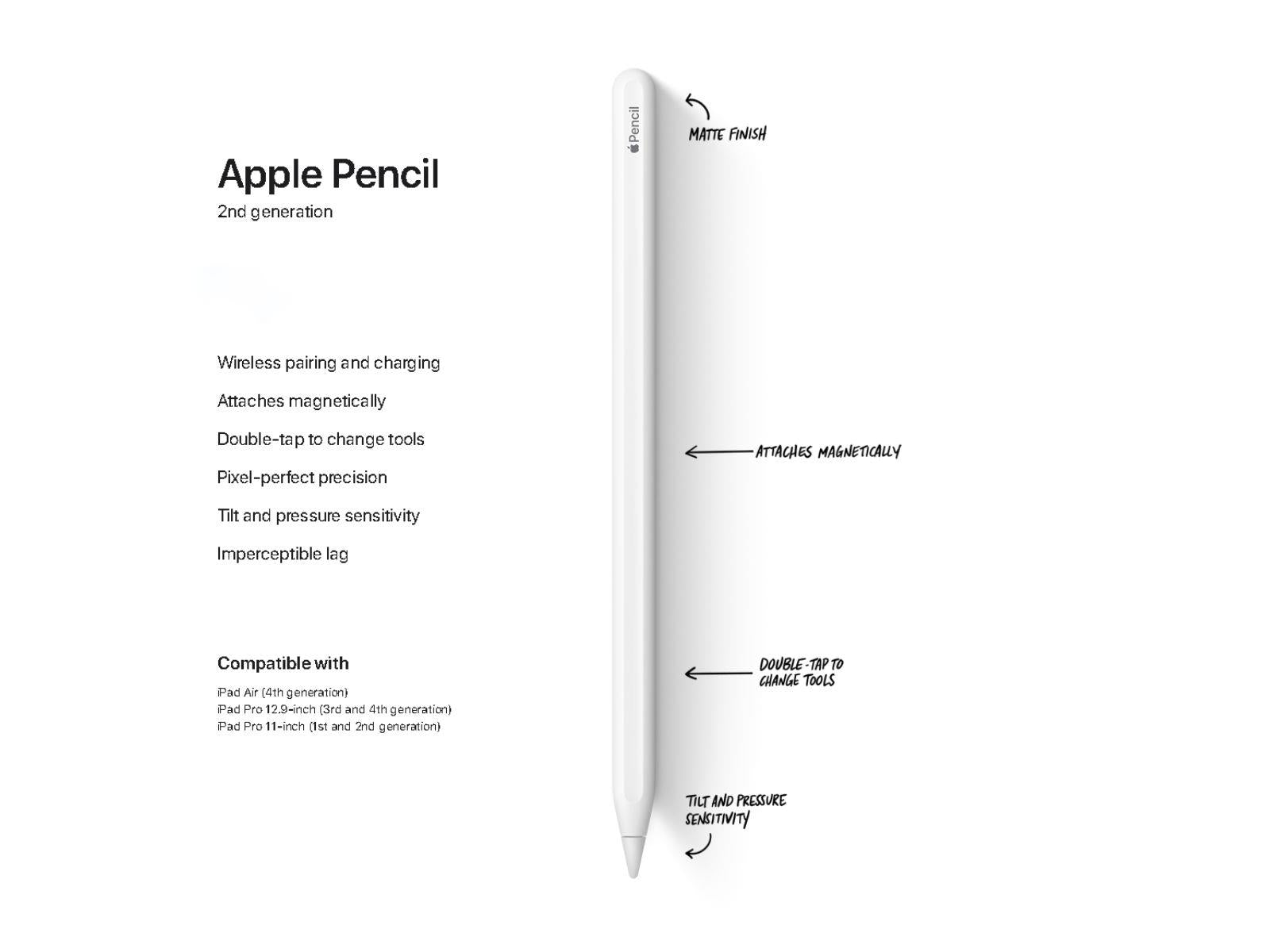 Image shows the features of the Apple Pencil 2nd Generation labelled