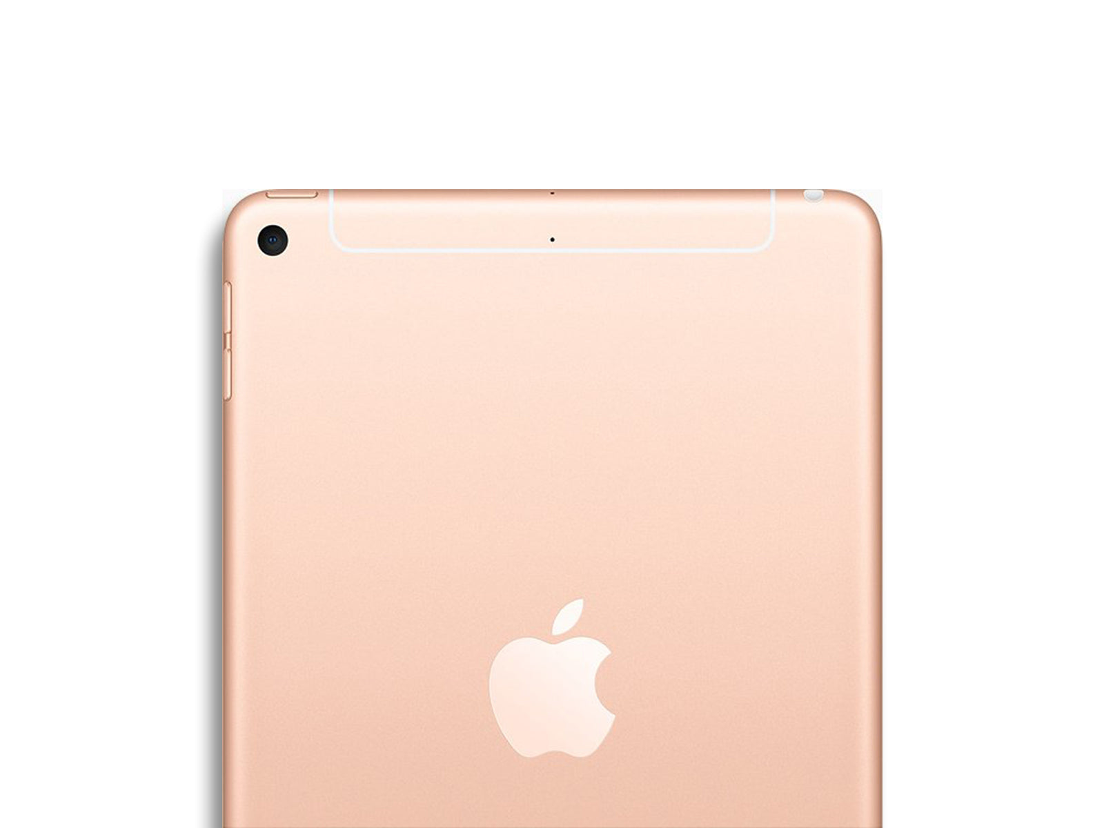 Apple iPad Mini 5th Gen 2019 In Colour Gold Back
