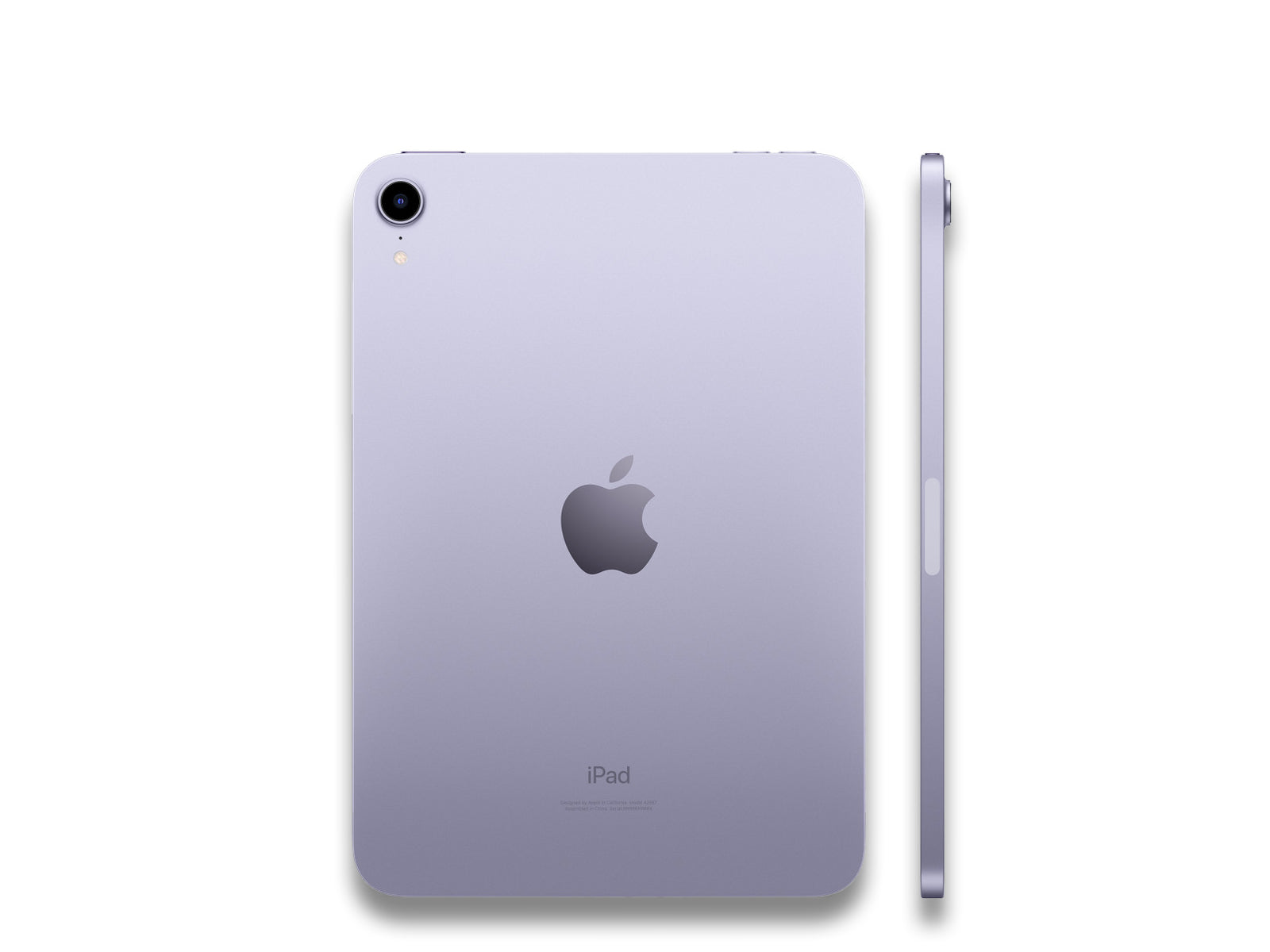 iPad Mini 6 in Purple Back And Side