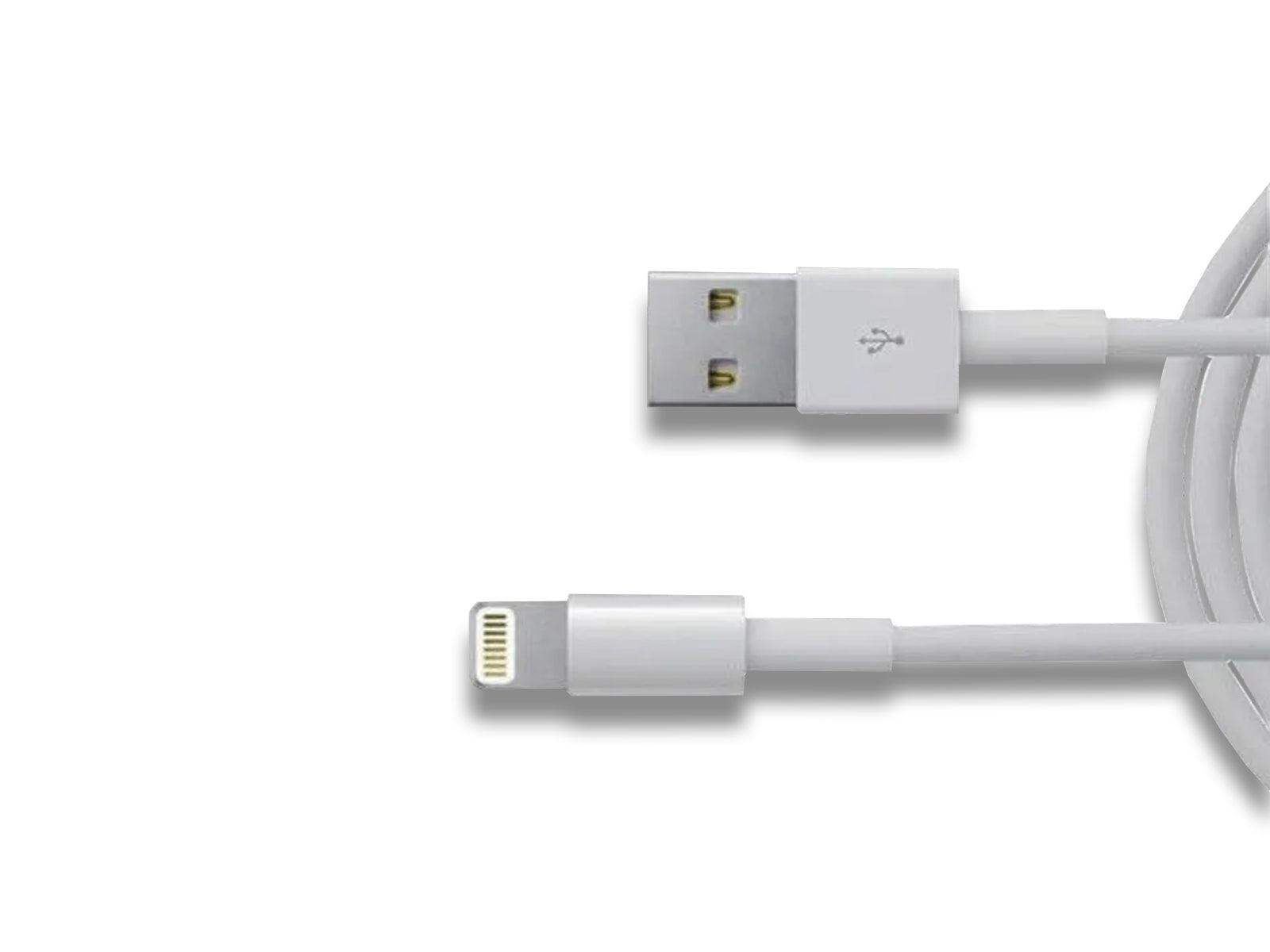 Apple - Apple Lightning to USB 2.0 Cable (MFI Certified) MD819ZM/A