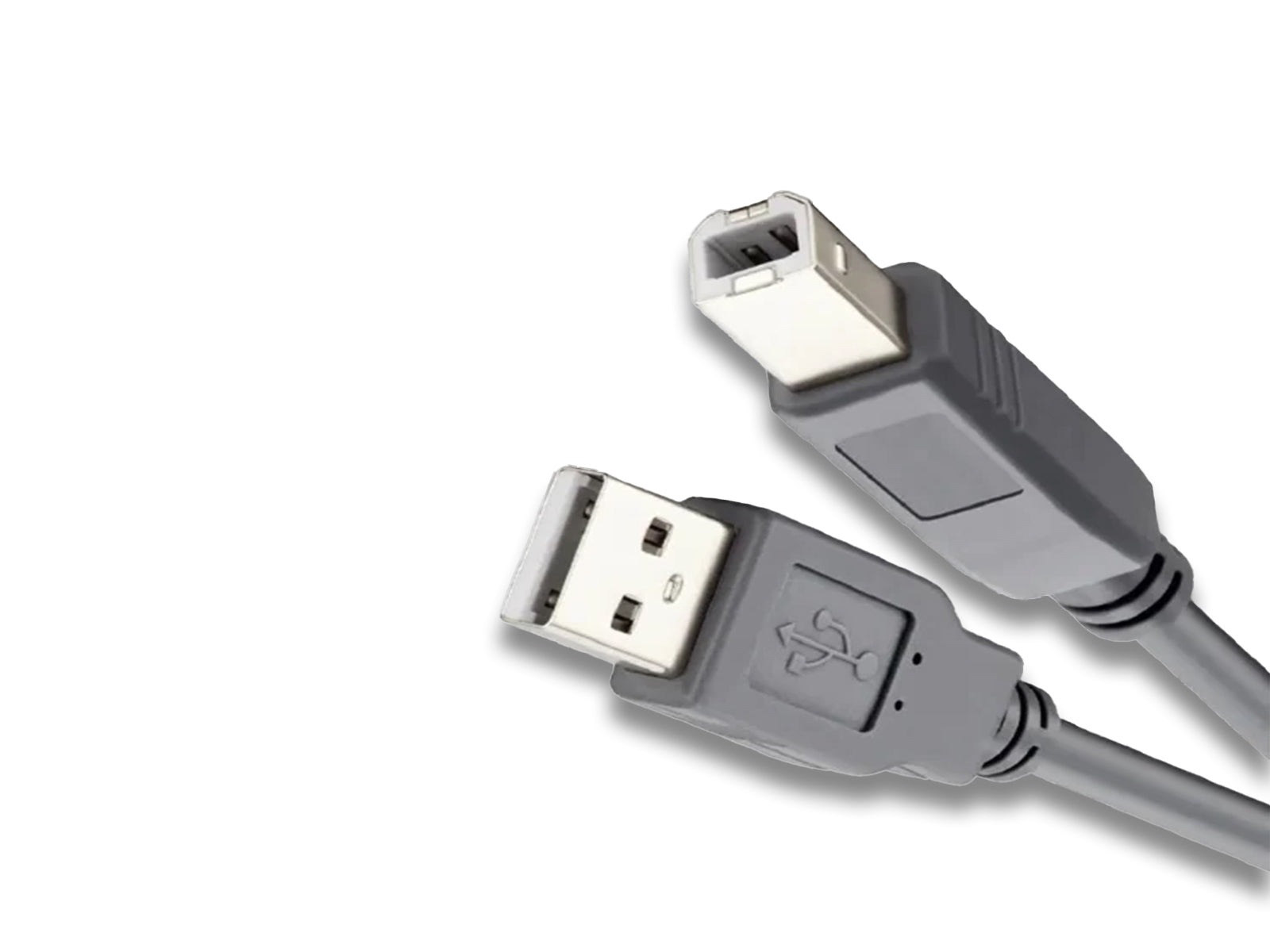 Printer Cable with USB Type A & Male USB Type B