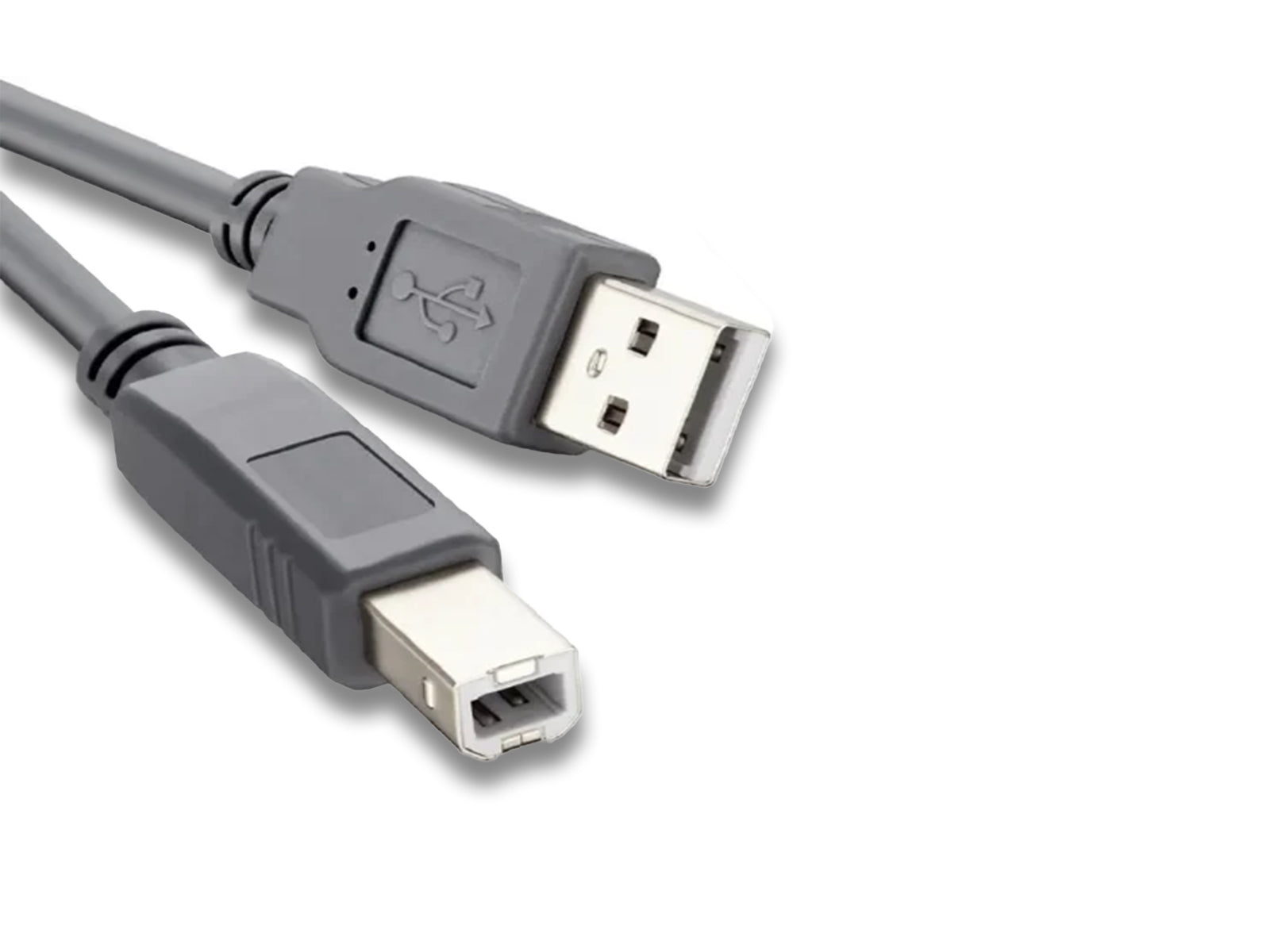 Printer Cable with USB Type A & Male USB Type B Close up