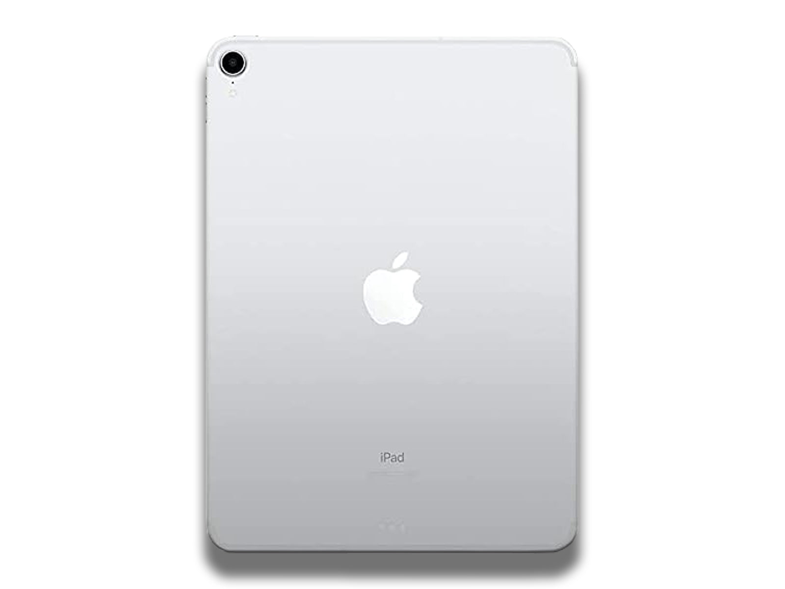 iPad Pro 1st Gen In Silver Back