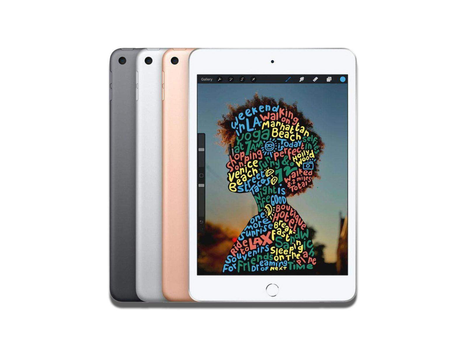 Apple - Apple iPad Mini 5th Gen 2019 Model