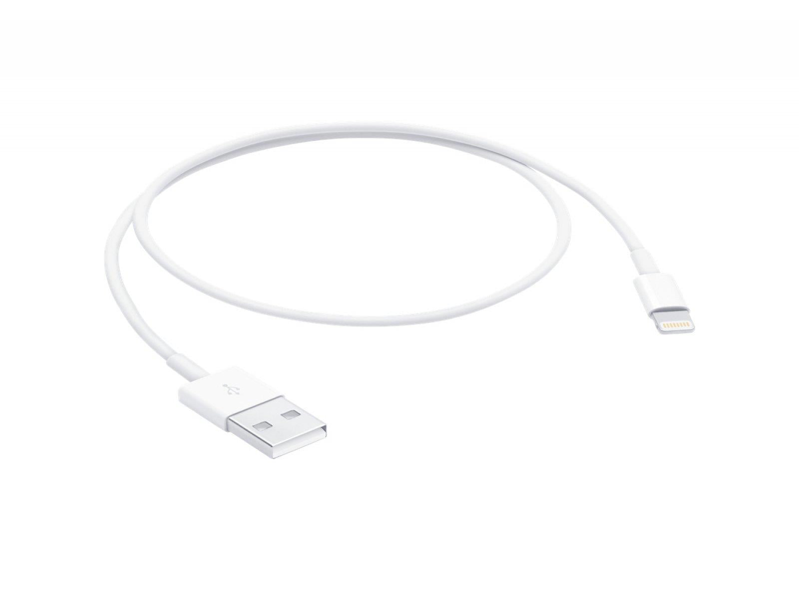 Apple Lighting Cable Showing Short Length 