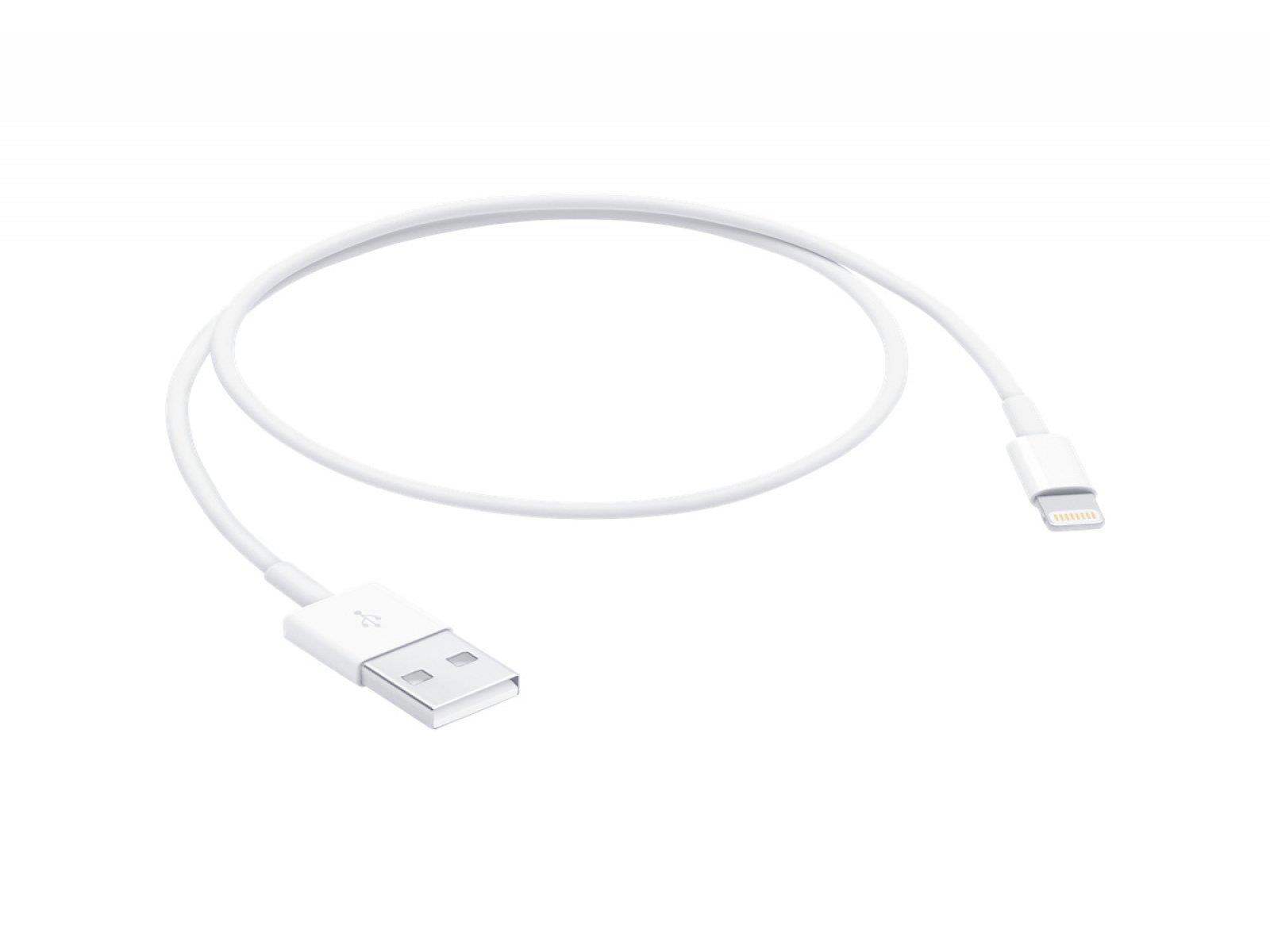 Apple - Apple Lightning to USB 2.0 Cable (MFI Certified) MD819ZM/A