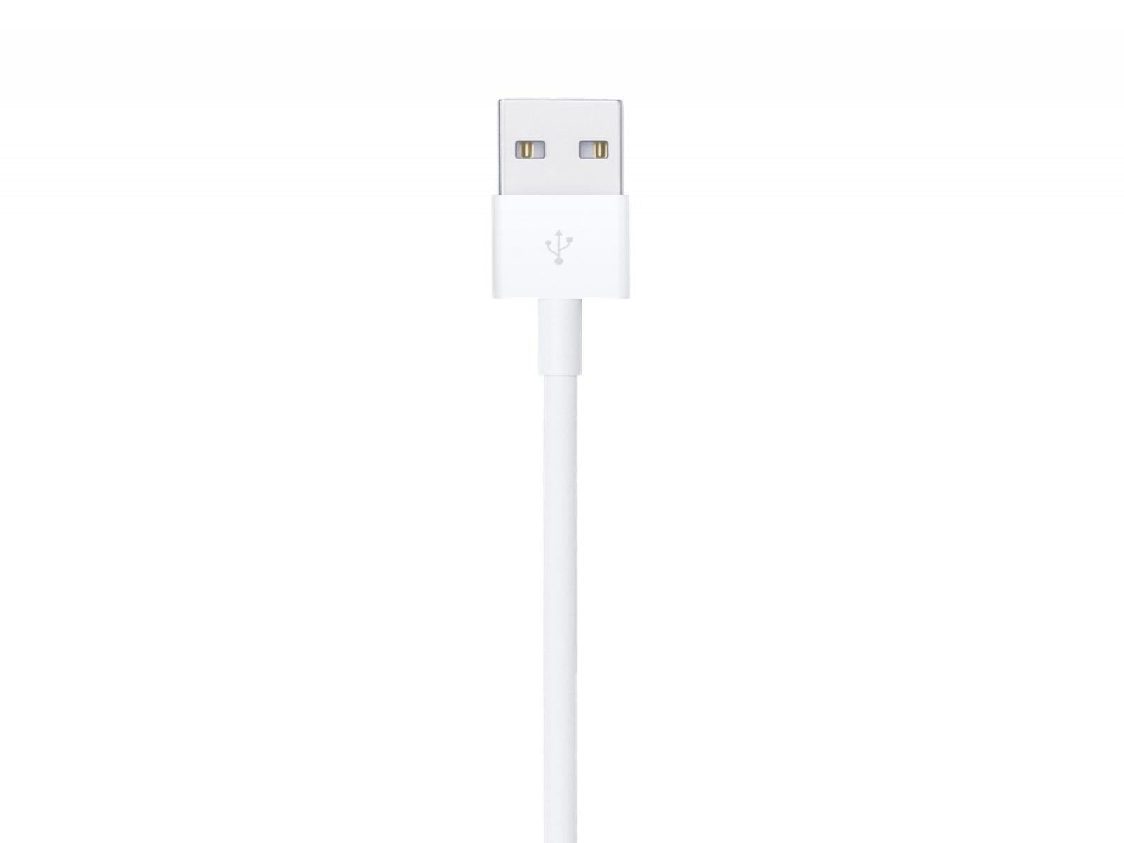 Apple Lighting Cable Showing Lighting USB 2.0 port
