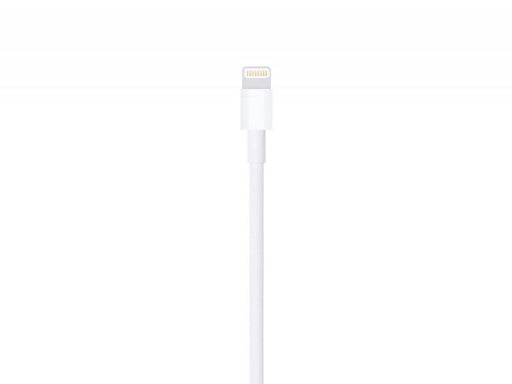 [Colour] Apple Lightning to USB 2.0 Cable (MFI Certified) MD819ZM/A by Apple Sold by TekEir