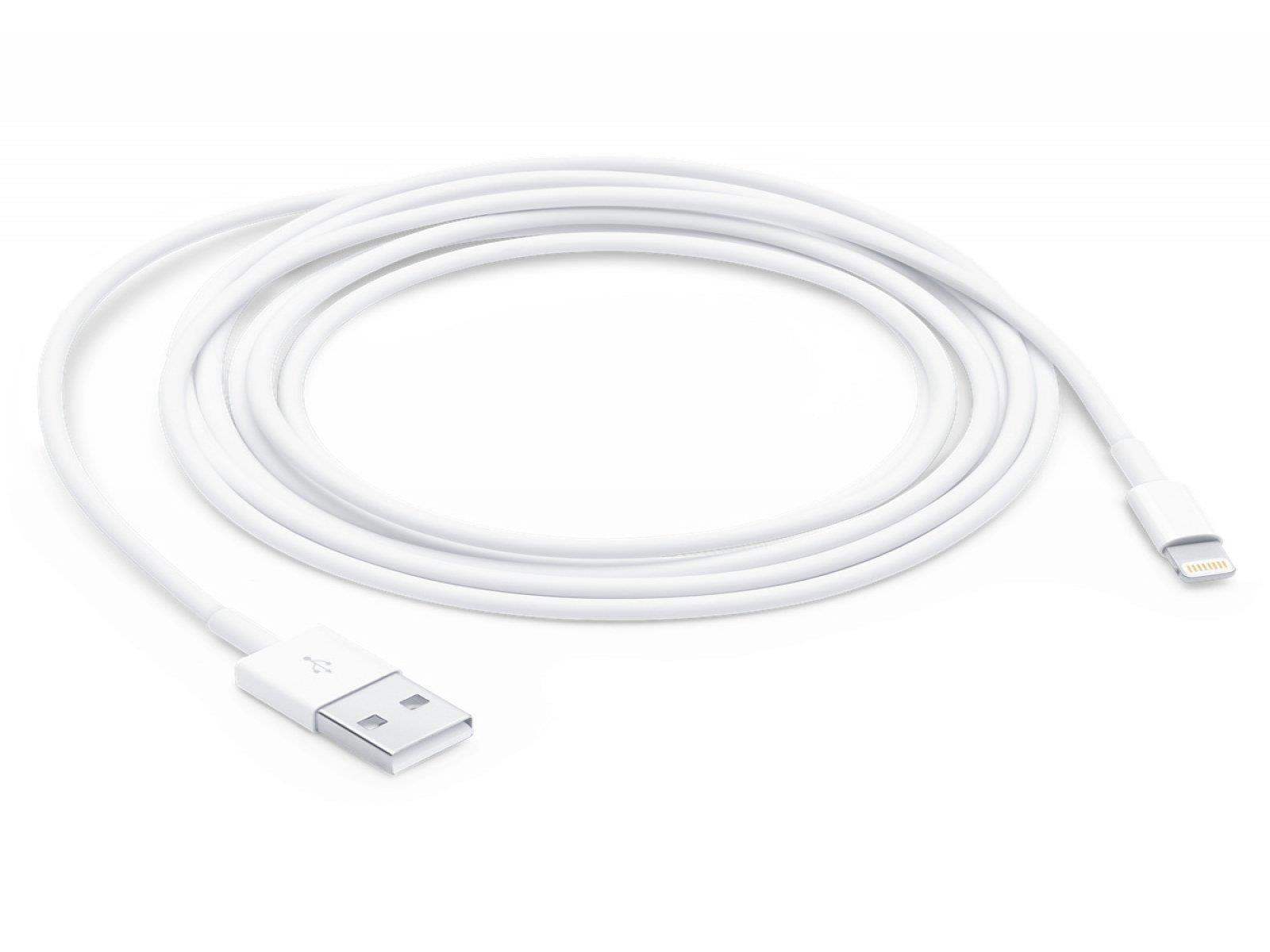 Apple - Apple Lightning to USB 2.0 Cable (MFI Certified) MD819ZM/A